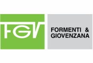 Logo-FGV
